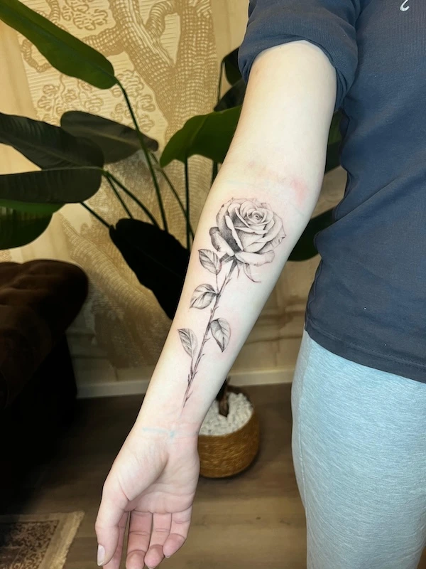 Realistische Rosenblüte